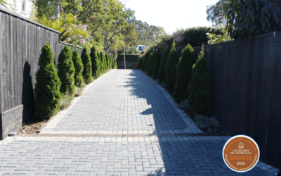 Remuera Permeable Paving